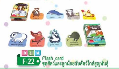 Flash Card ชุดสัตว์และลูกน้อยกับชุดสัตว์ไกล้สูญพันธ์